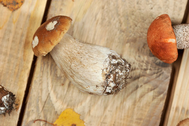 Similar image 21536839