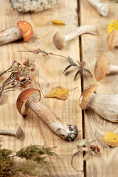 Similar image 21536841