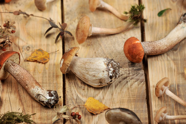 Similar image 21536843