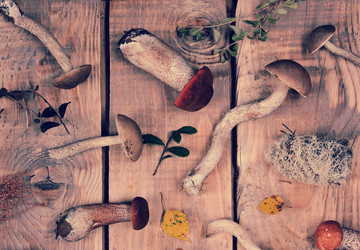 Similar image 21536844