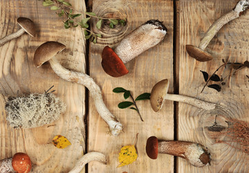 Similar image 21536846