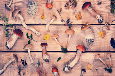 Similar image 21536847