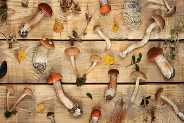 Similar image 21536850