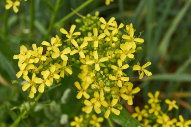 Similar image 21524176