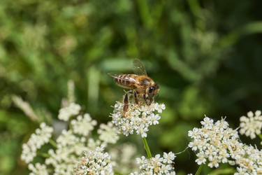 Similar image 21524178