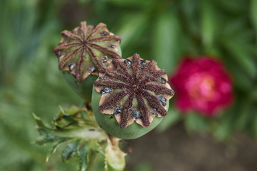 Similar image 21524907