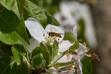 Similar image 21524726