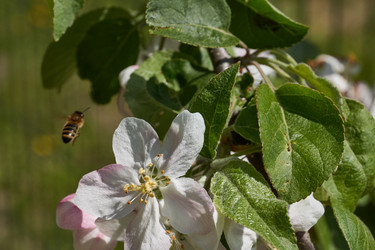 Similar image 21524727