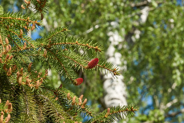 Similar image 21524908