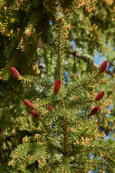 Similar image 21524181