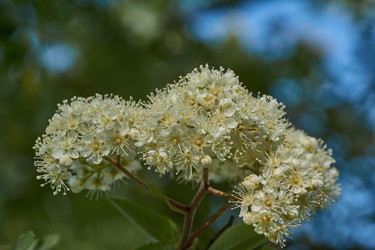 Similar image 21524728