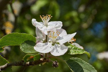 Similar image 21526596