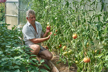 Similar image 21525789