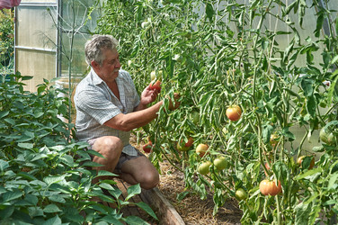 Similar image 21525791