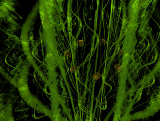 Similar image 21529978