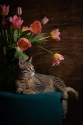 Similar image 21531375