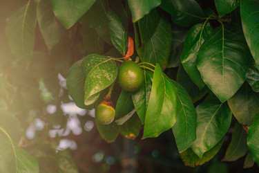 Similar image 21533084