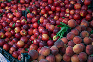 Similar image 21533298