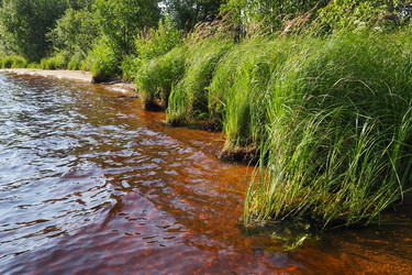 Similar image 21525328