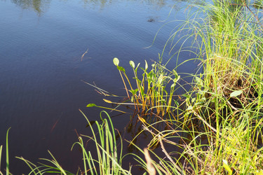 Similar image 21525330