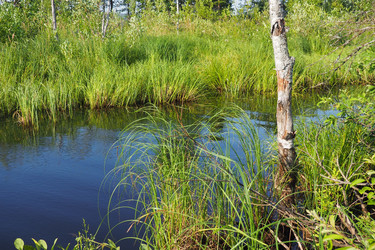 Similar image 21525331