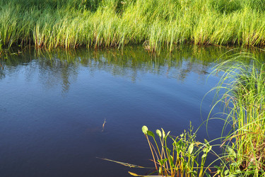 Similar image 21525487