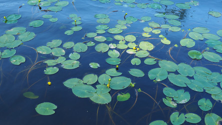 Similar image 21525489