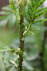 Similar image 21535255