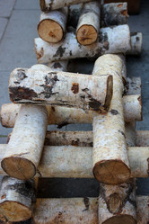 Similar image 21535256