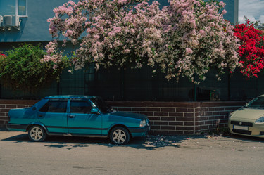 Similar image 21533310