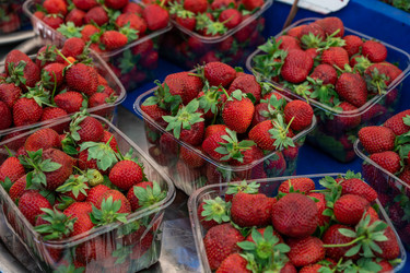 Similar image 21533315