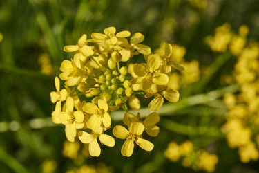 Similar image 21524909