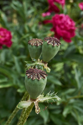 Similar image 21524910