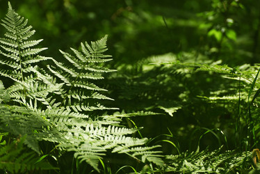 Similar image 21525062