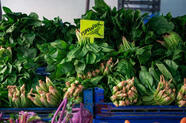 Similar image 21533326