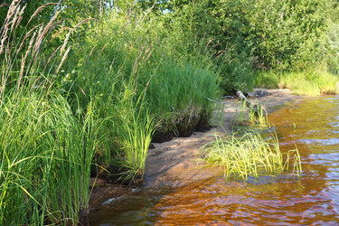 Similar image 21525332