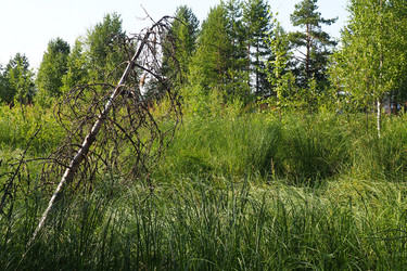 Similar image 21525333