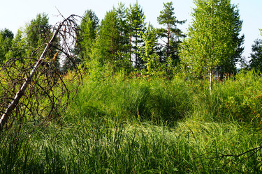 Similar image 21525334