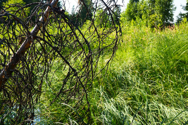 Similar image 21525335