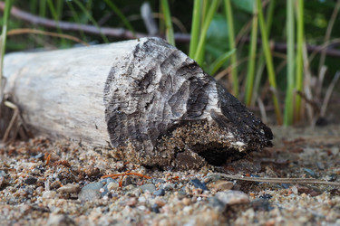 Similar image 21525338