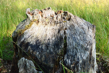 Similar image 21525339