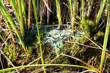 Similar image 21525340