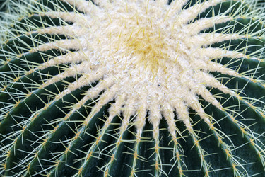 Similar image 21533329