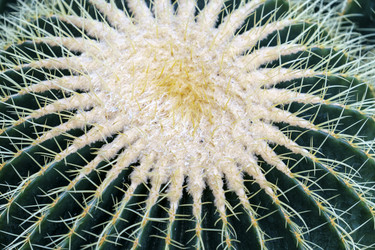 Similar image 21533330