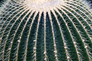 Similar image 21533331