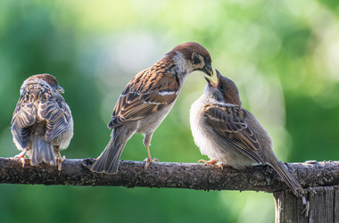 Similar image 21539278