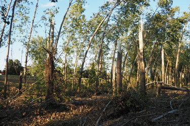 Similar image 21525346