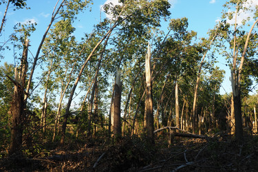 Similar image 21525347