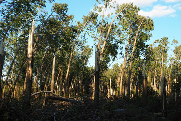 Similar image 21525348