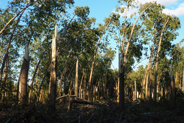 Similar image 21525349